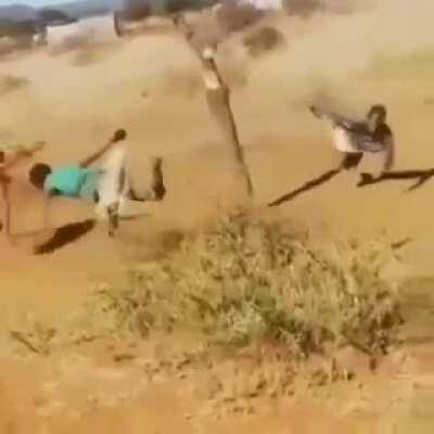 It is looking so entertaining