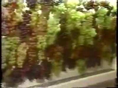 Anyway, moving on...