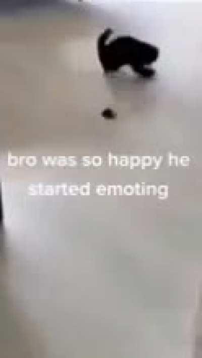 I'm 15 and this is yeet