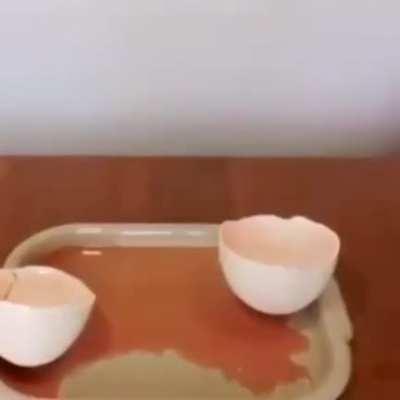 cursed_egg