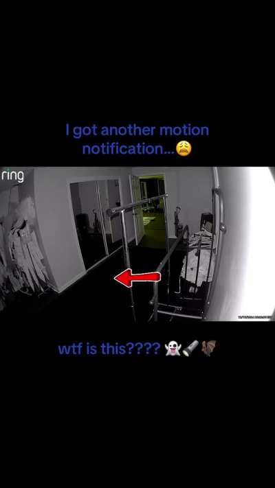 Ring Camera in basement picked up motion AGAIN! 