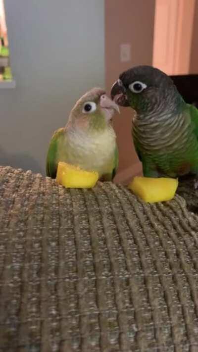 Who needs mangos when I’ve got you?🥰