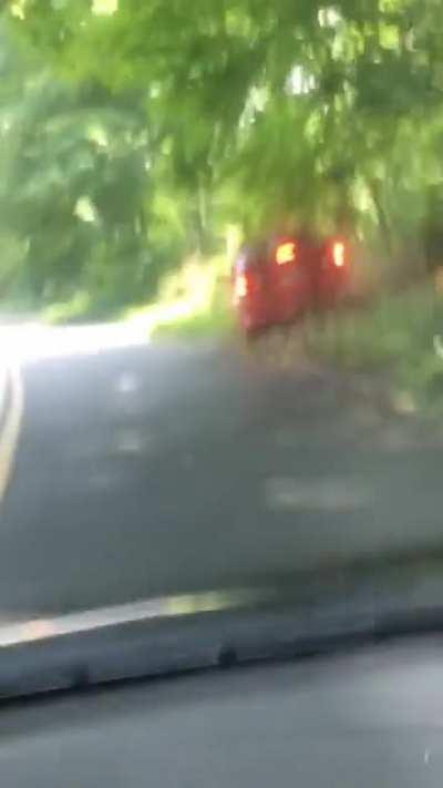 The best Snapchat I’ve ever taken