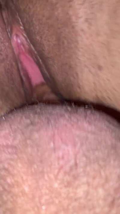 Pink Persian 👸🏻