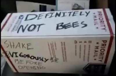 Not Bees.
