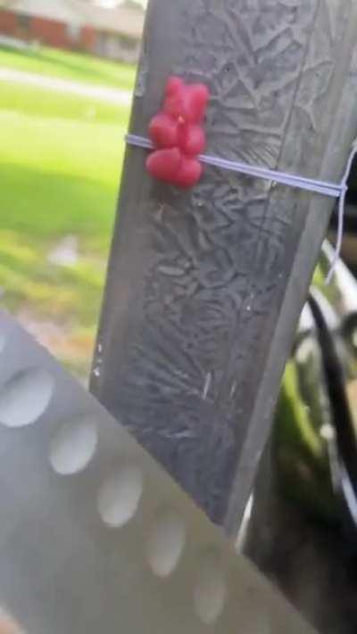 Advertencia hore🙀🙀🙀🙀🙀😿