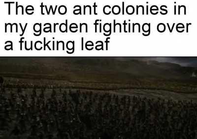 A battle for the ages