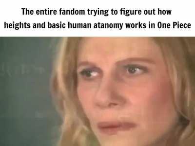 One piece fandom in a nutshell