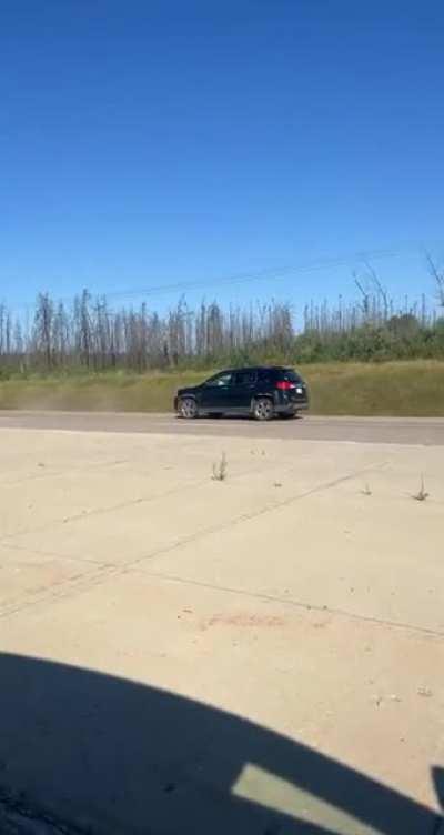 Bear vs SUV in northern Canada