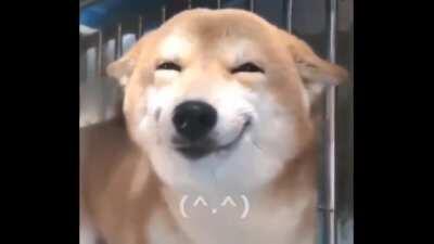 wenas yo soy nuevo U w U n ' t y tomen estos videos los que estén tristes esto levanta el animo :D ( por lo menos a mi me alegran🐔👉👈)🤺☔ ahre