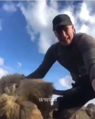 ???????? 55.5 Disco Edition