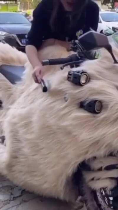 The furry bike