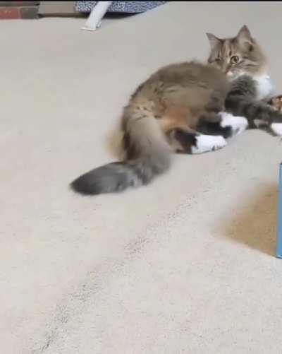 Blowing into a straw drives her crazy