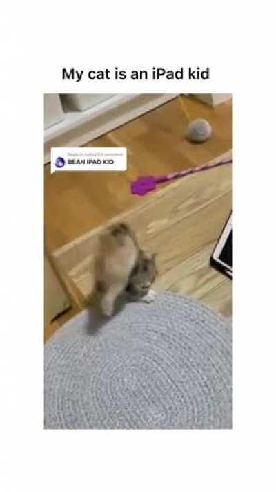 SHE EVEN ADJUSTED THE IPAD AFTER SHE PUSHED IT!