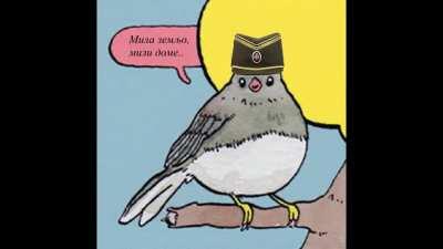 Vai du ju ruin dis bjutiful patriotik ting!?? (EAR RAPE)