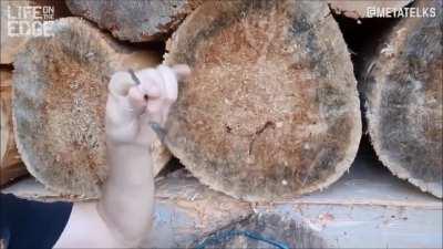 He seems like a nice guy