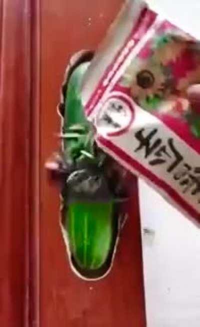 How to hide your precious coin