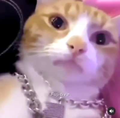 wtf goin on in miami bruh