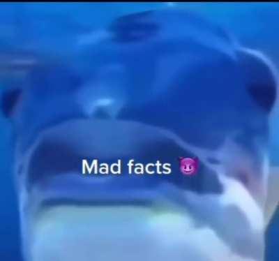 Mad facts