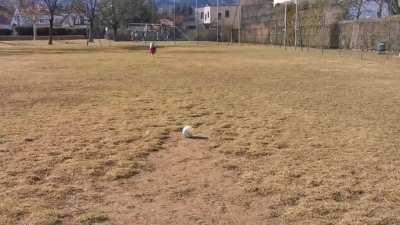 HMJB while I run 50 meters to kick a ball