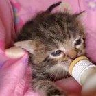 Unspeakably Felonious. Meet inmate #213 Sonja