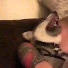 SiCk woMan viOLeNtLY bITES SMall WOLF IN tHE necK iS LaUGHing WiTH it