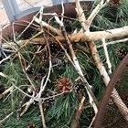 I have smart friends