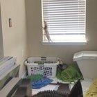 Thought r/ferrets would enjoy the view from my home office.