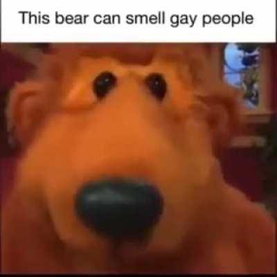 You smell gay