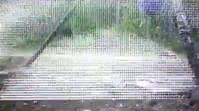 Fuck hunters, Swedish style.