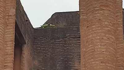 The date's going on well I guess