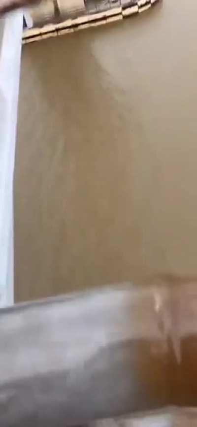 respect natural wildlife