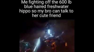 i need upvotes to feed my family