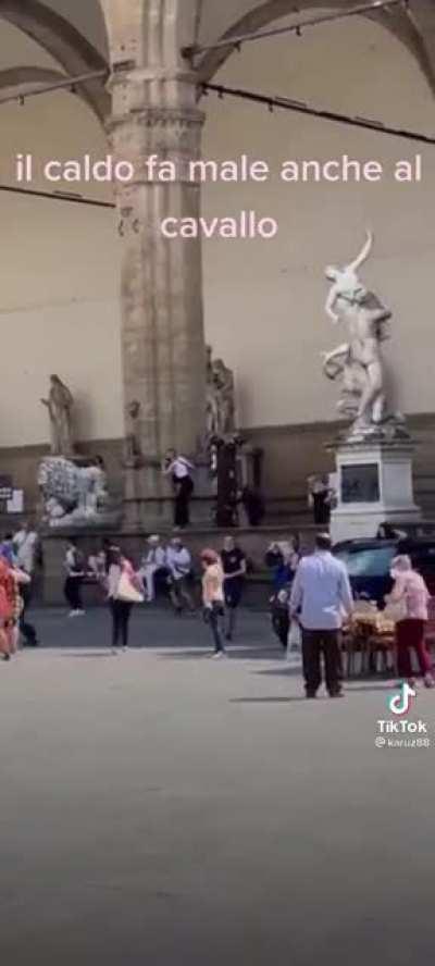 Horse freaks out and takes off causing massive damage