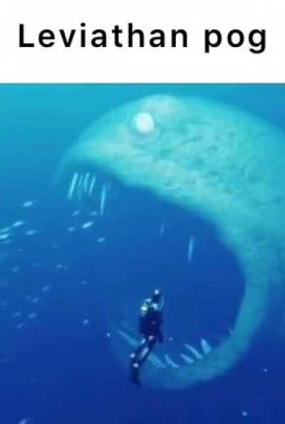 Okay, this is awesome