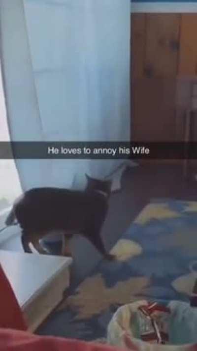 Good ol’ sneak attack