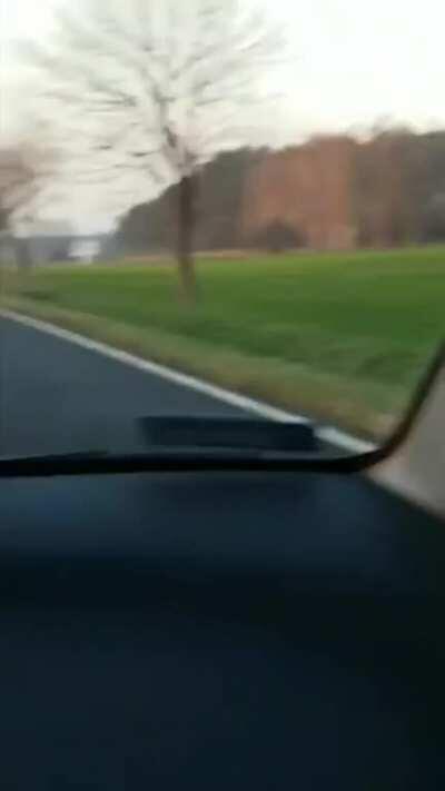 mild idiot, not even attempting to slow down knowing theres a deer running right in front
