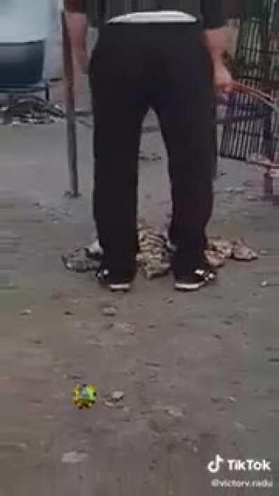 s-a dus pe pula carnea :(