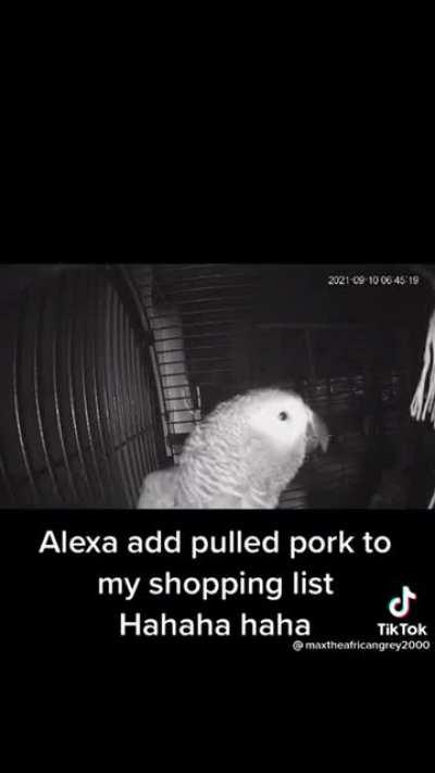 A day without sunshine is like, you know, night.