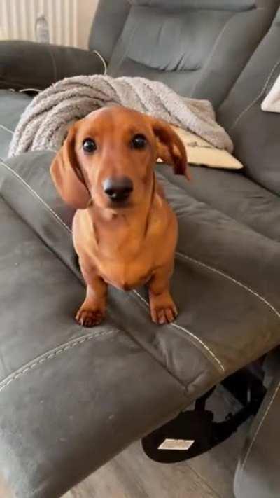 Whatever he's having - We all want some!!