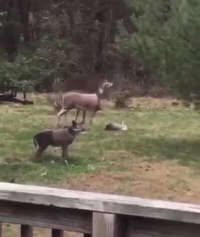 How To Get Life-long Sex Trauma