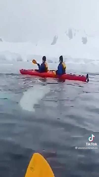 This panic attack of a video