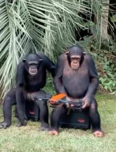 I don't know if someone already posted but I wanna share it. Credit: nickb_photos