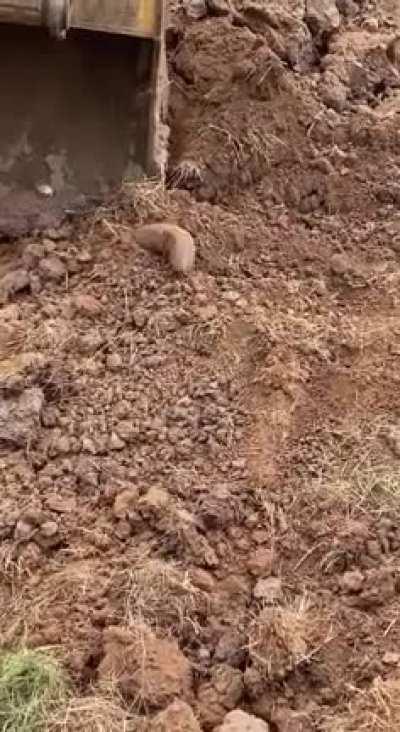 Found in Uganda by some workers anyone have any idea what this is? I couldn’t find any other sub.