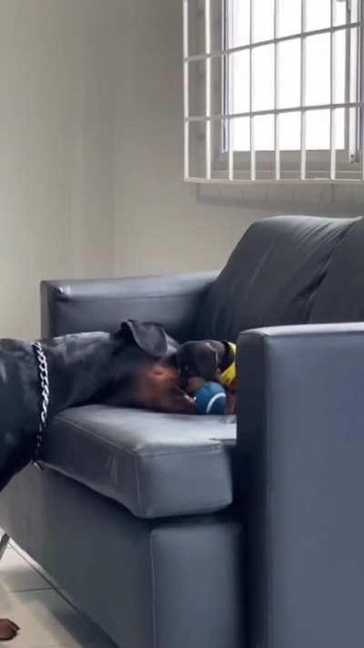 OK, now pay attention ...