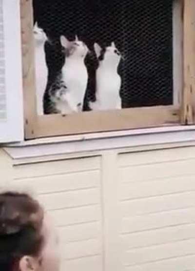 Very involved audience