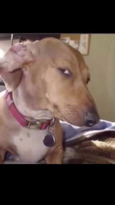 as a skinny person (heil spez)