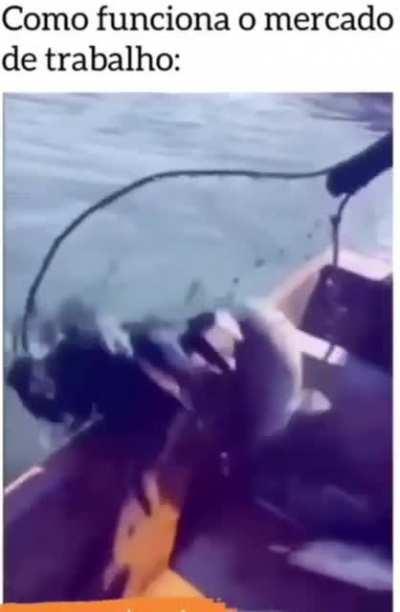 Mais-valia for dummies