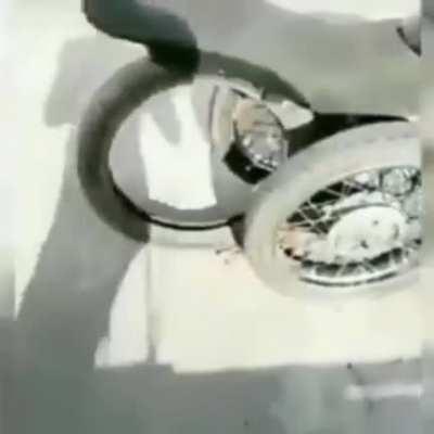 Jsjsjs peruano motorizado goes brrr