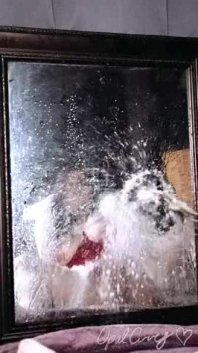 Power washing a mirror with piss like a naughty Ms. Claus